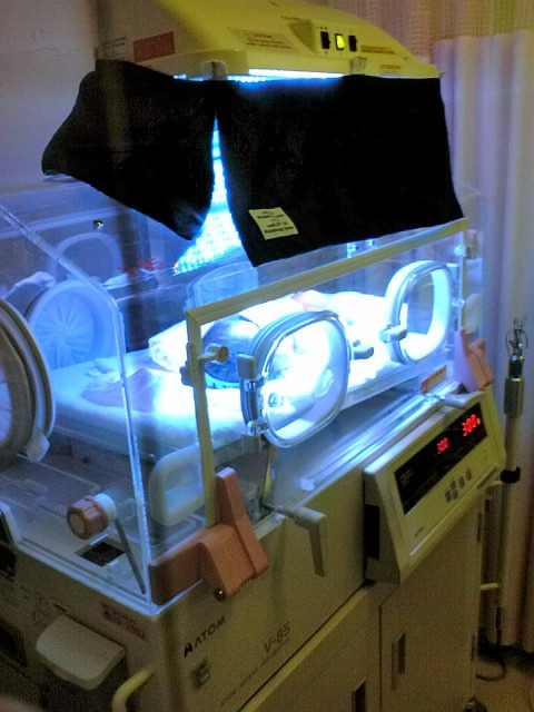 生まれたばかりの長男