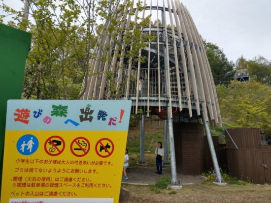 ツインリンクもてぎハローウッズの森