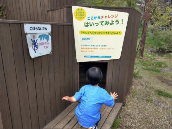 ツインリンクもてぎハローウッズの子供たち