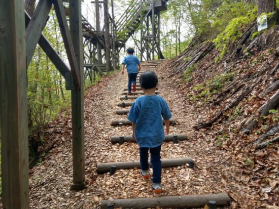 ツインリンクもてぎハローウッズの森