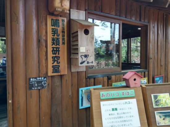 ツインリンクもてぎハローウッズの森