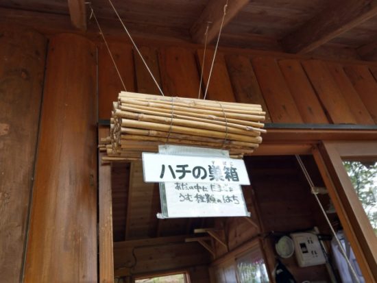 ツインリンクもてぎハローウッズの森