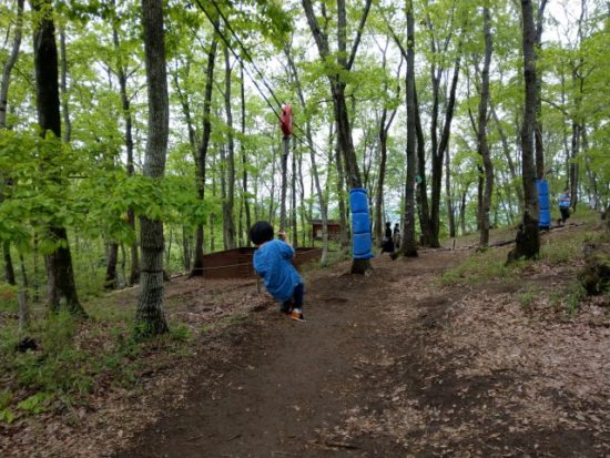 ツインリンクもてぎハローウッズの森