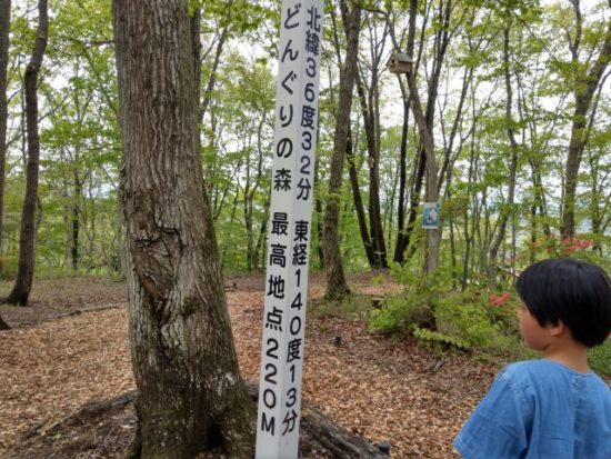 ツインリンクもてぎハローウッズの森