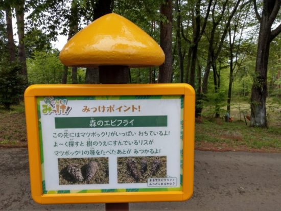 ツインリンクもてぎハローウッズの森