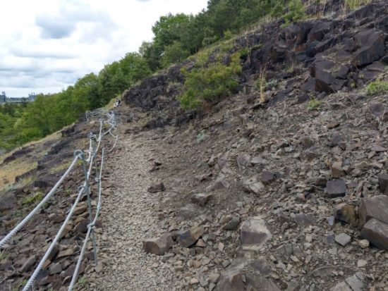 ツインリンクもてぎハローウッズ