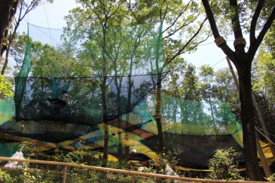 空中アスレチックのファンモック