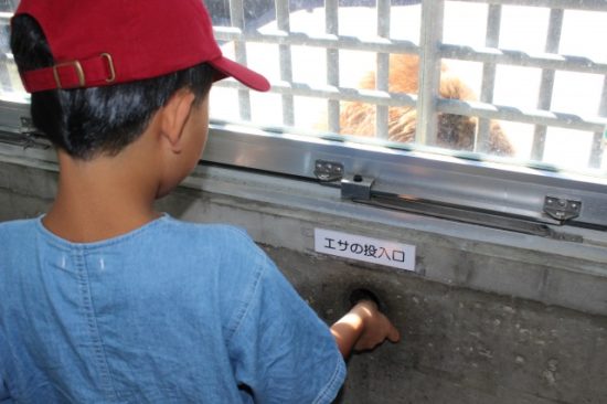 熊牧場の人のオリの子供たち