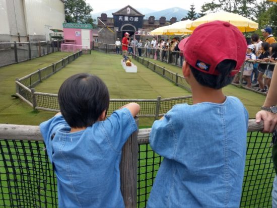 ルスツリゾートの子供たち