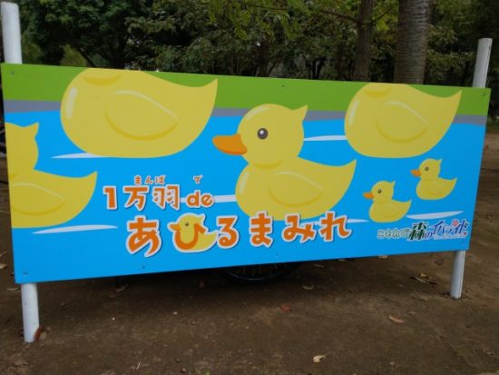 1万羽deあひるまみれ
