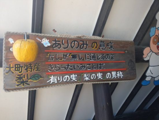 ありのみコース