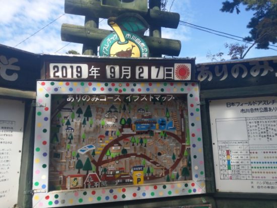 ありのみコース