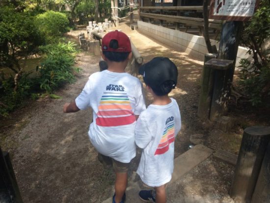 ありのみコース