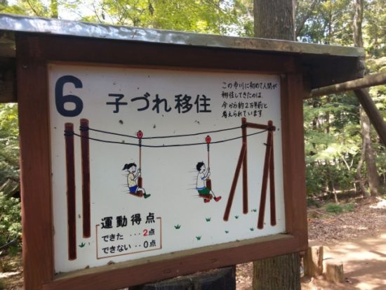 ありのみコース