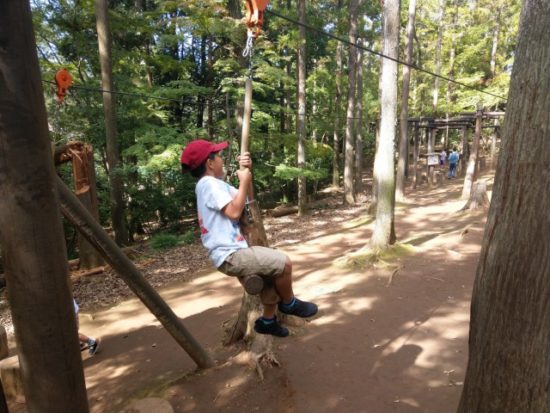 ありのみコース