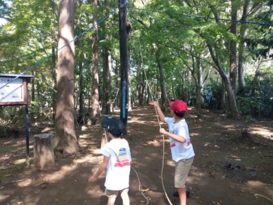 ありのみコース