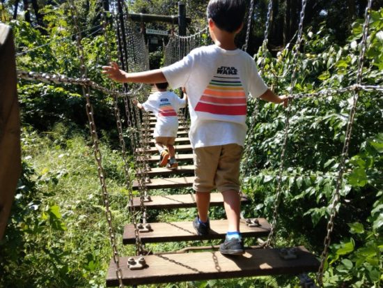 ありのみコース