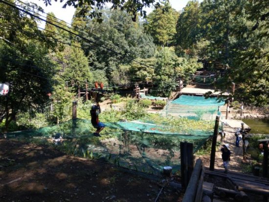 ありのみコース