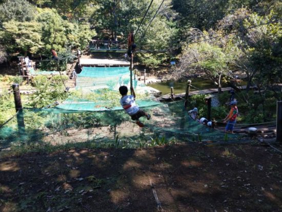 ありのみコース