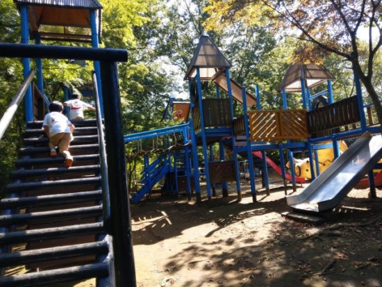 ありのみコース