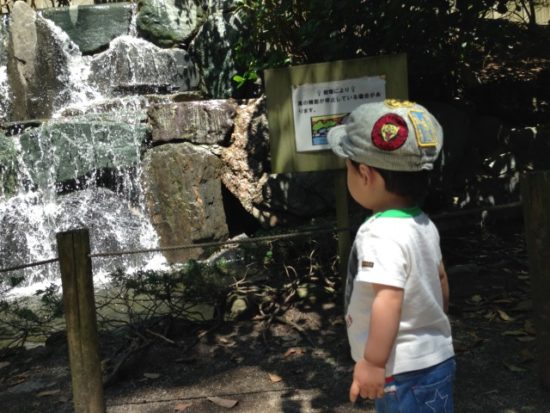 小さいころの次男