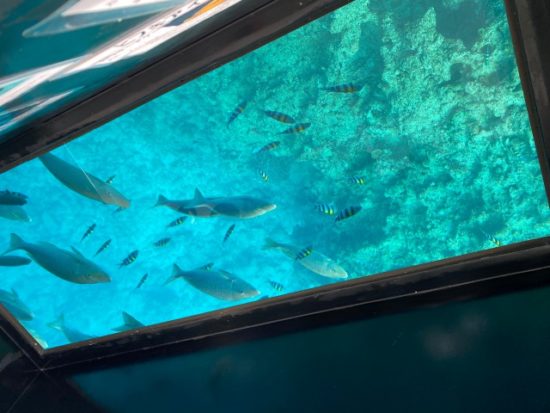 ブセナ海中公園の子供たち