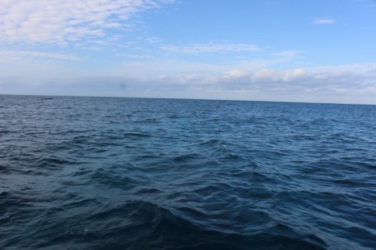 ブセナ海中公園の海