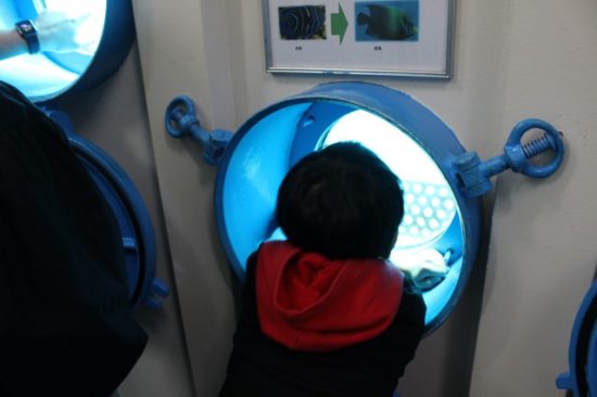 ブセナ海中公園の展望台