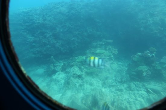 ブセナ海中公園の展望台