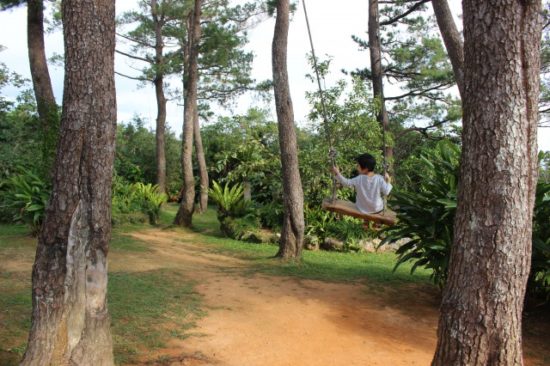 ビオスの丘のブランコ