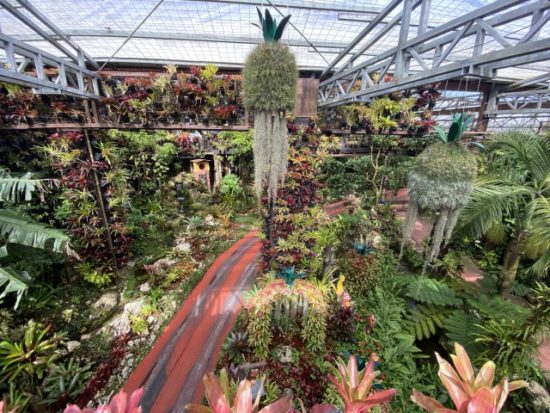 パイナップルパーク