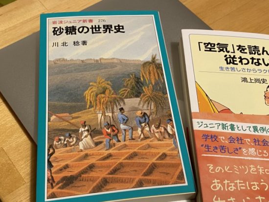 岩波ジュニア新書砂糖の世界史