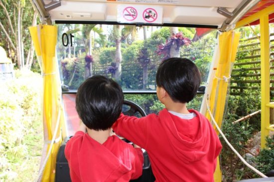 パイナップルパークの子供