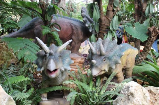 パイナップルパーク