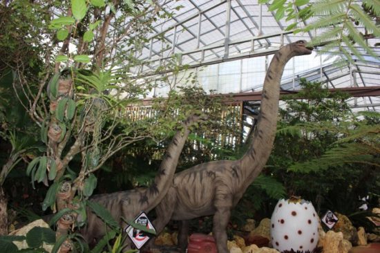 パイナップルパーク