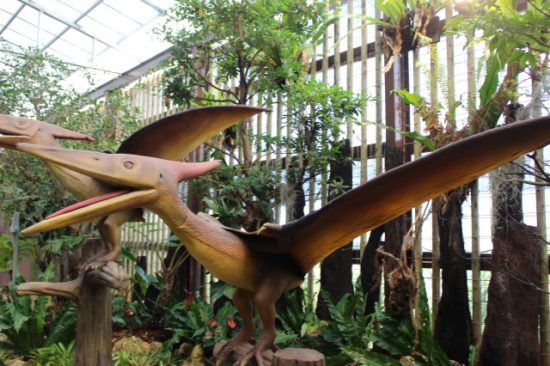 パイナップルパーク