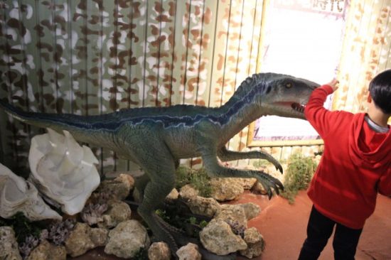 パイナップルパークの長男