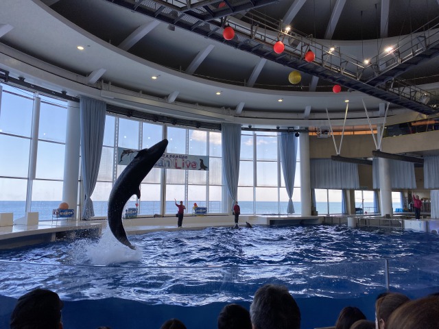 アクアワールド大洗水族館