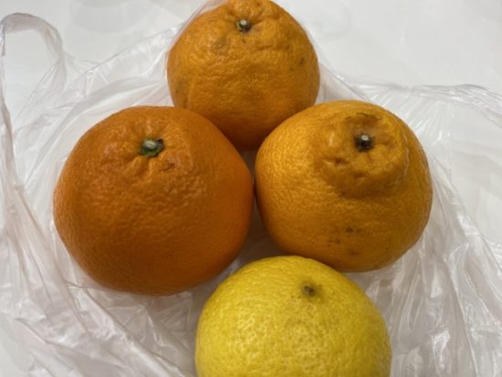 愛媛フェアのみかん