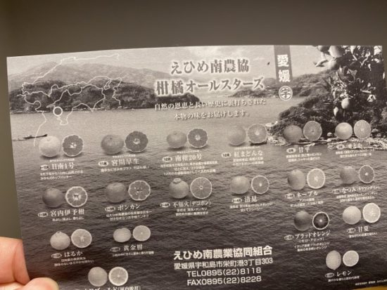愛媛フェアのみかん