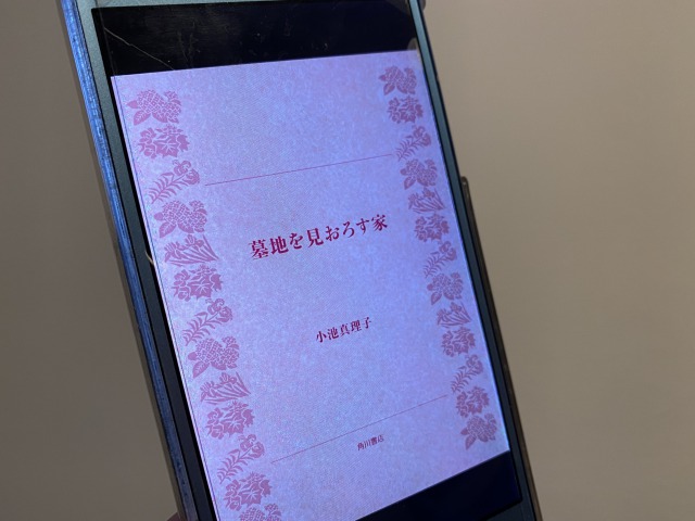 ホラー小説 墓地を見おろす家 がやっぱり怖くて何度も読んでいる ディズニー好きなイクメン税理士