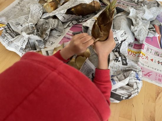 たけのこをむく子供たち