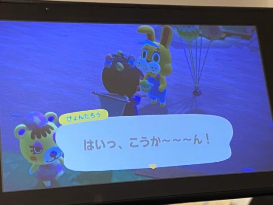 どうぶつの森の画像