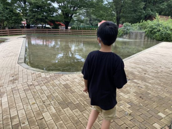 イバライドの子供たち