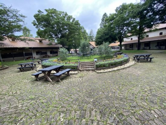 イバライドの子供たち