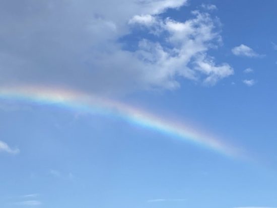 虹の画像