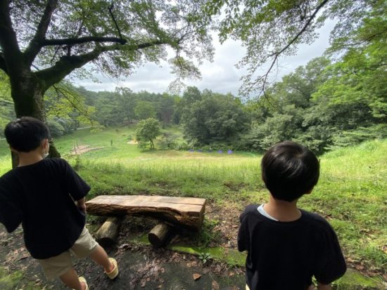 子供たちの画像