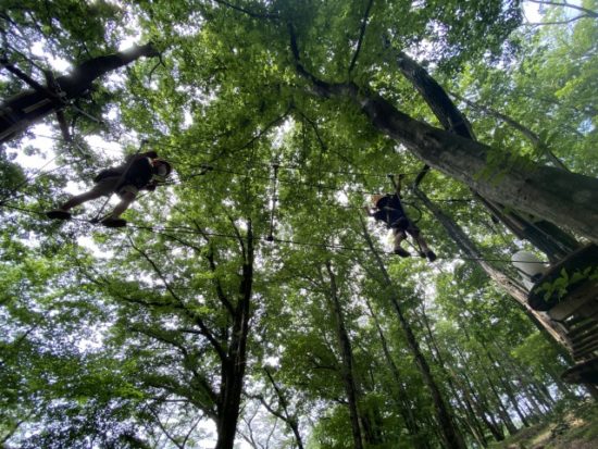 ノザルの子供たち