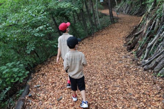 ツインリンクハローウッズの森子供たち