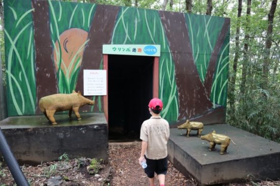 ウリンボ迷路ツインリンク子供たち